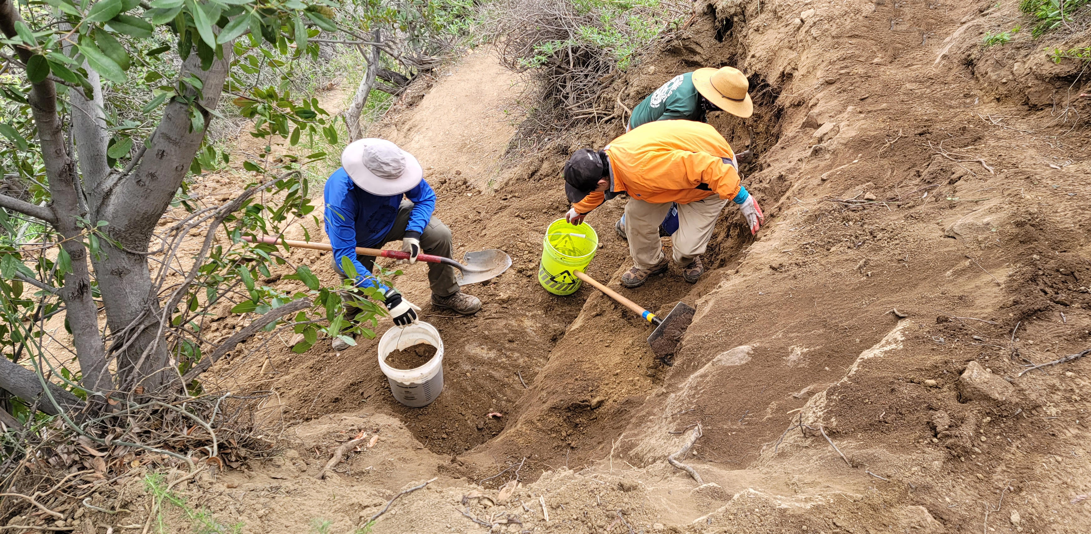 image of trail crew volunteers