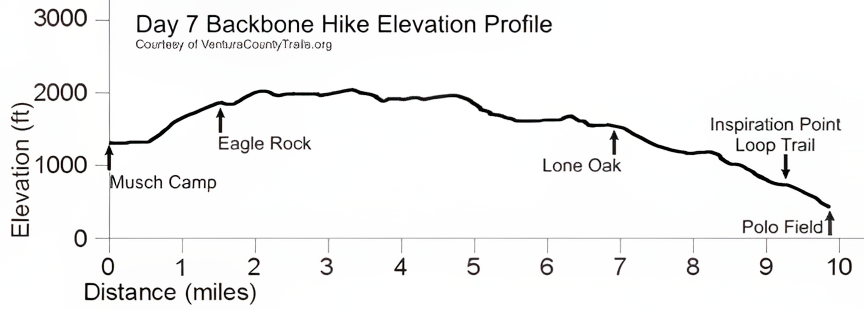 Elevation Profile