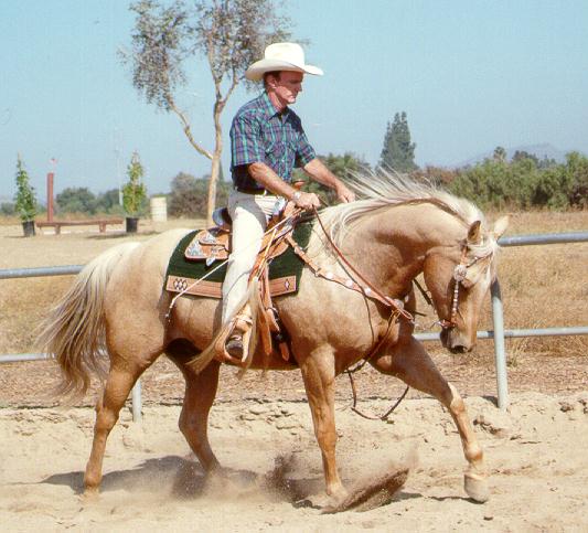 image of board member