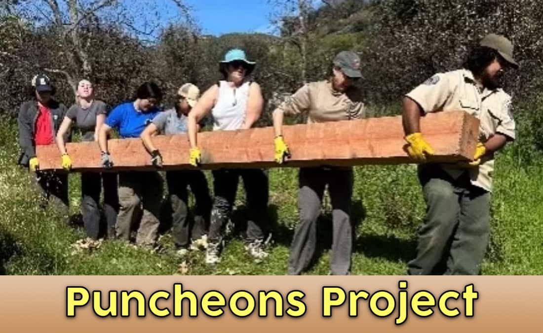 Puncheons Project Page