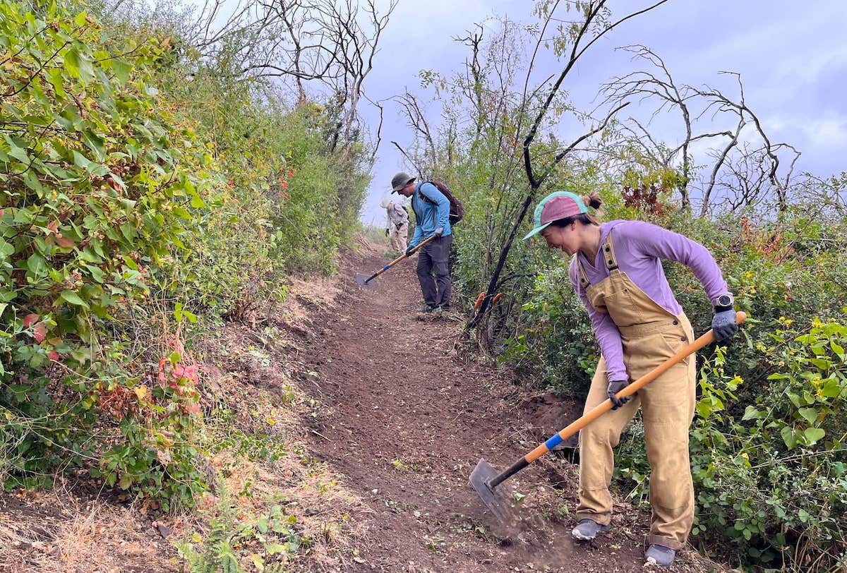 image of trail workers