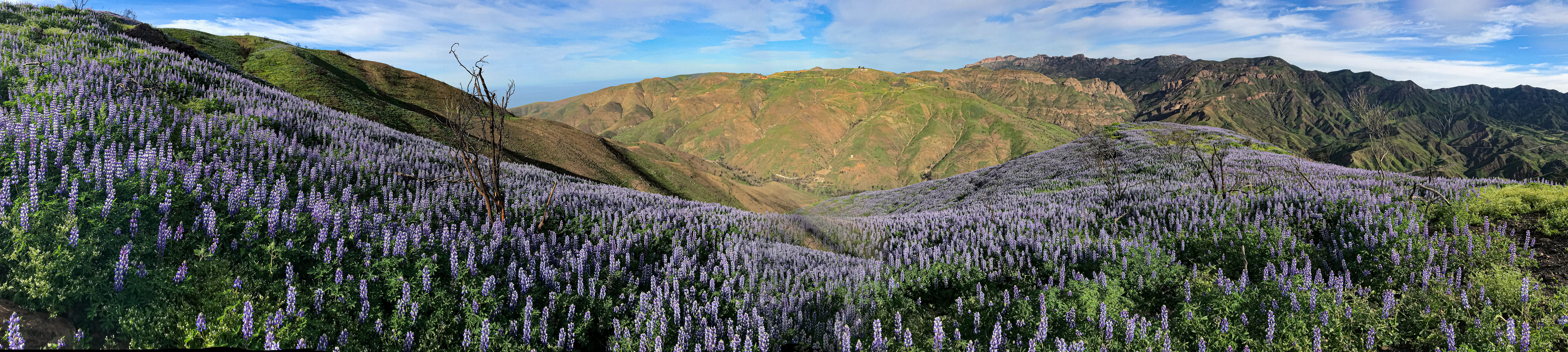 Panoramic image of Santa Monica Mountains