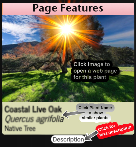 Help Features