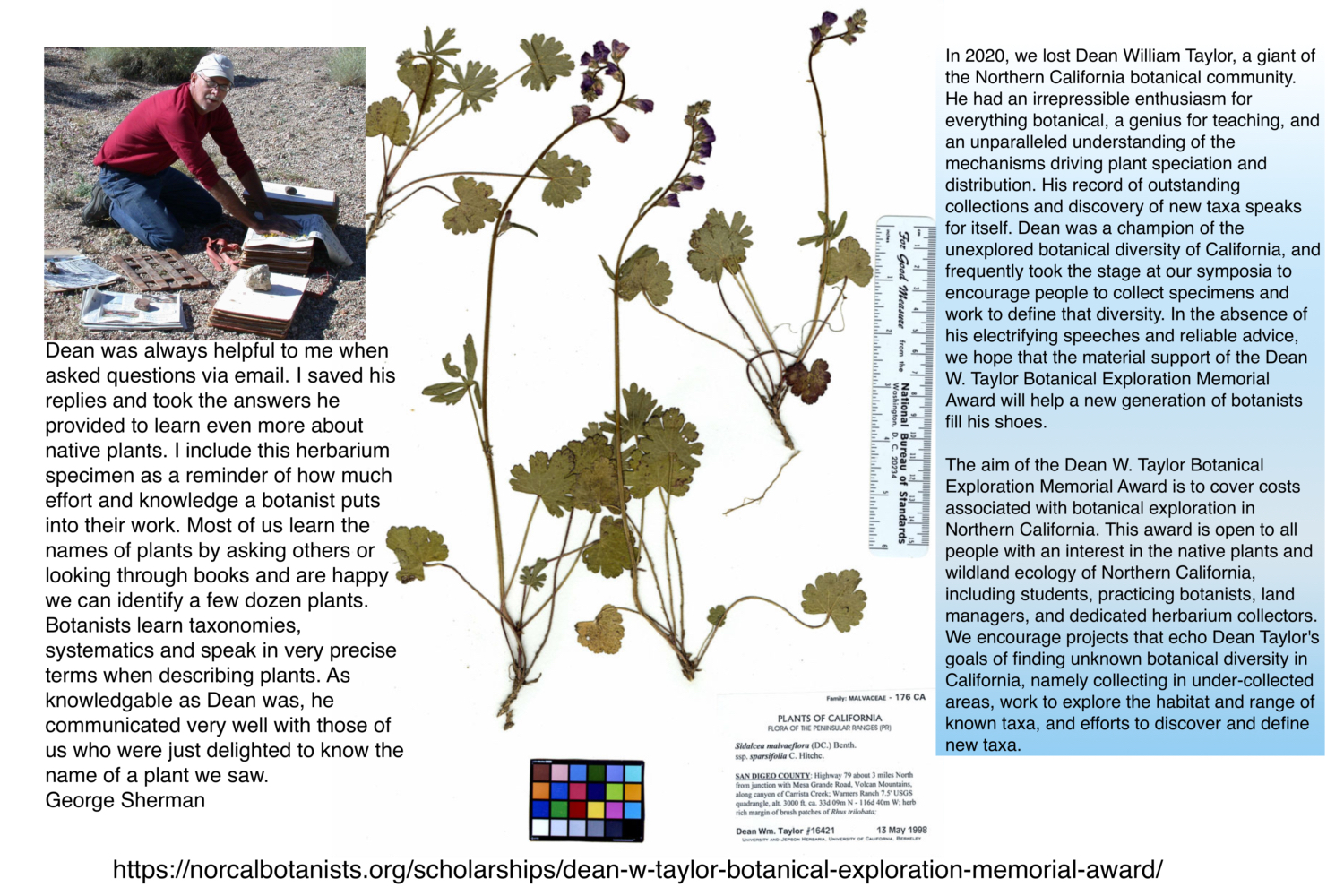 Dean William Taylor - Botanist
