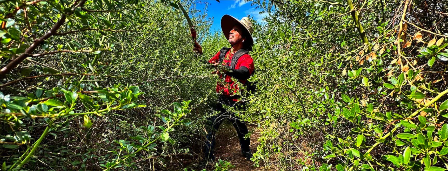 image of trail crew volunteers