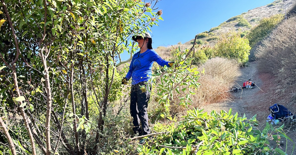 image of trail crew volunteers