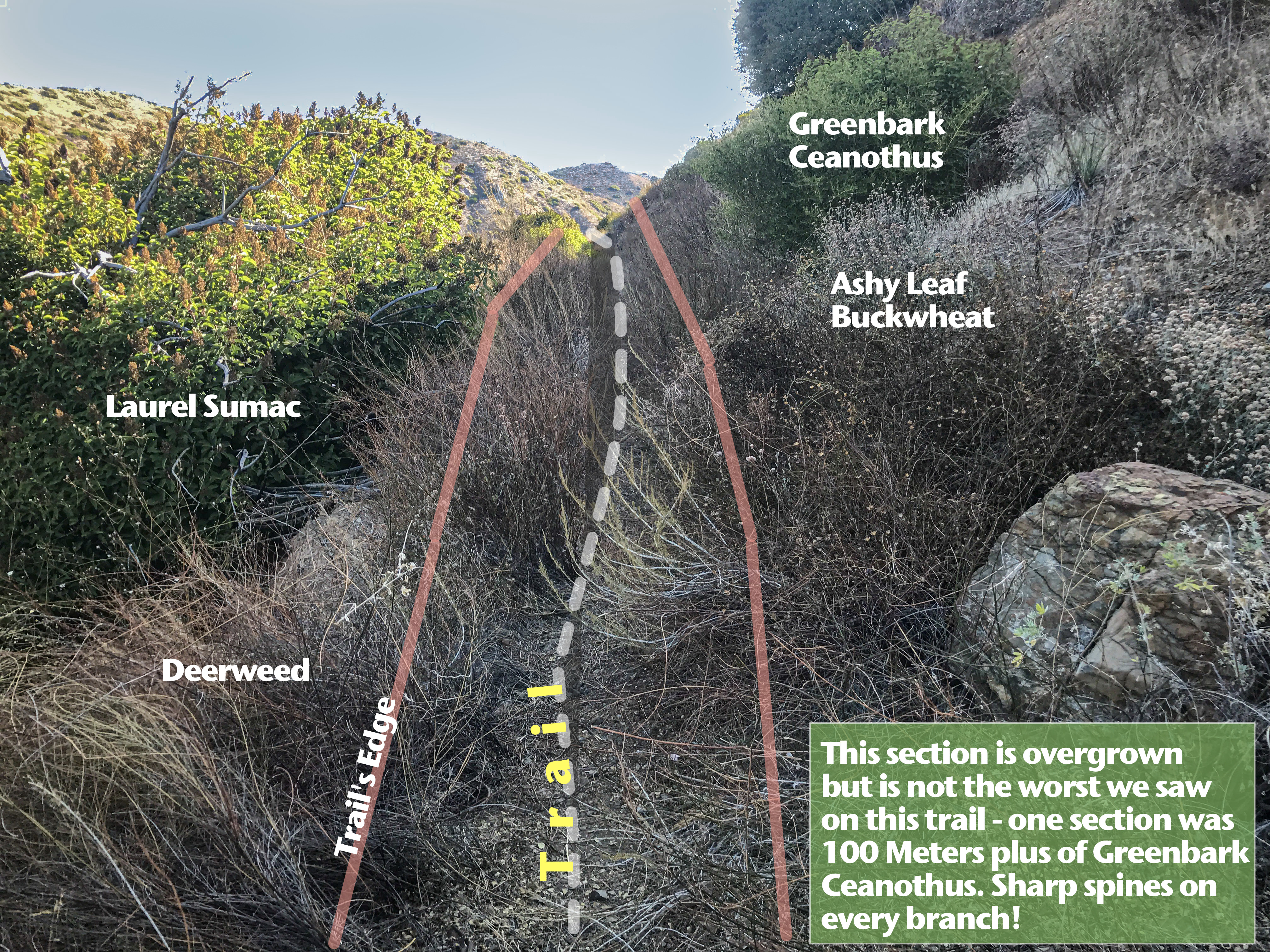 Our crew rebuilding a drain on Sandstone Peak.